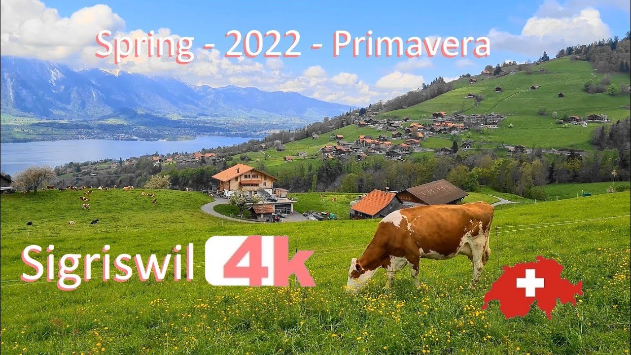 SWITZERLAND - SIGRISWIL - PART 4 - INTERLAKEN in Spring -Walking Tour beautiful villages- SUIZA - 4k