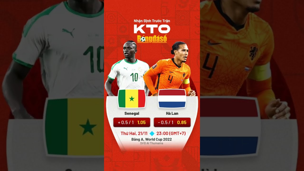 Soi kèo Senegal v Hà Lan 21/11, 23:00. Cơn Lốc màu da cam với lợi thế lực lượng #shorts #worldcup