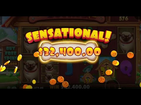 Best of #5 Casino Big win. Dog House 32 000$ !!! COSTO