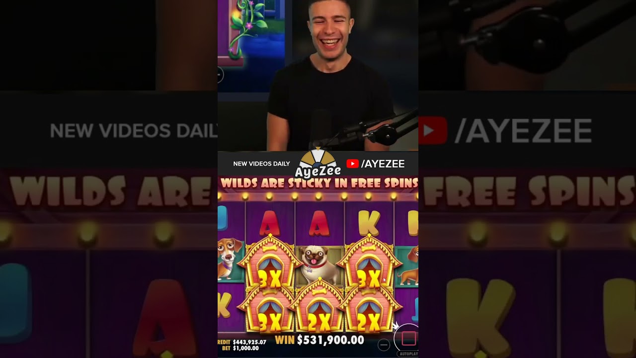 AYEZEE INSANE WIN ON DOG HOUSE!