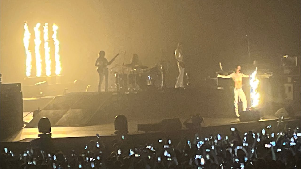05. Weekly vlog: concerto Maneskin, lezioni, palestra, piccione che gira per l'uni, poli milano