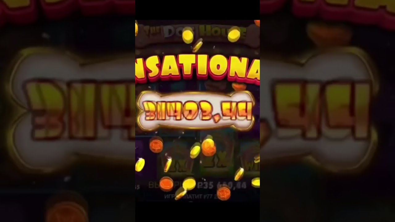 Max win #casino #казино #казиноонлайн #doghouse #bamboo #bananza #olimpus #занос #заносынедели