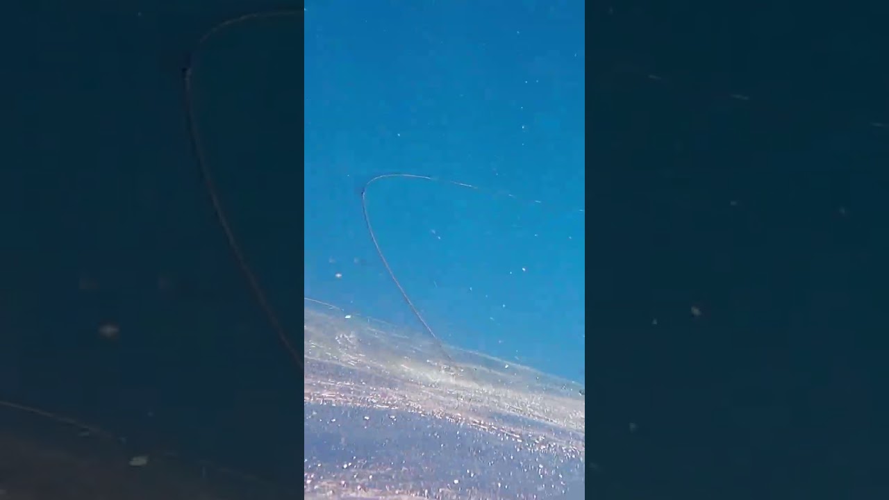 flying fish net 3 #shorts #fish #youtubeshorts #viral