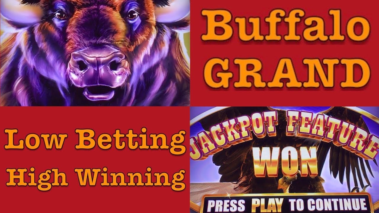 Holland Casino - BUFFALO GRAND Slot Machine - Low Betting High Winning - Big Win Bonus - Aristocrat