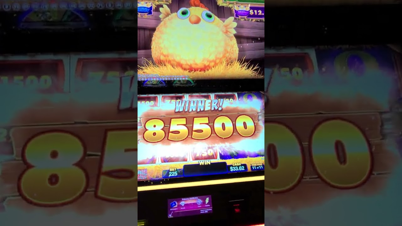 Amazing win on $2.25 bet at Winstar Casino ?  Cluck, Cluck, Cash ? for the win ?