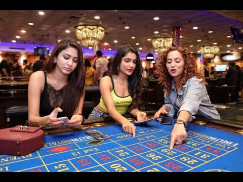 Big daddy casino | Best Casino in Goa | Casino Games ! #shorts #casino #food