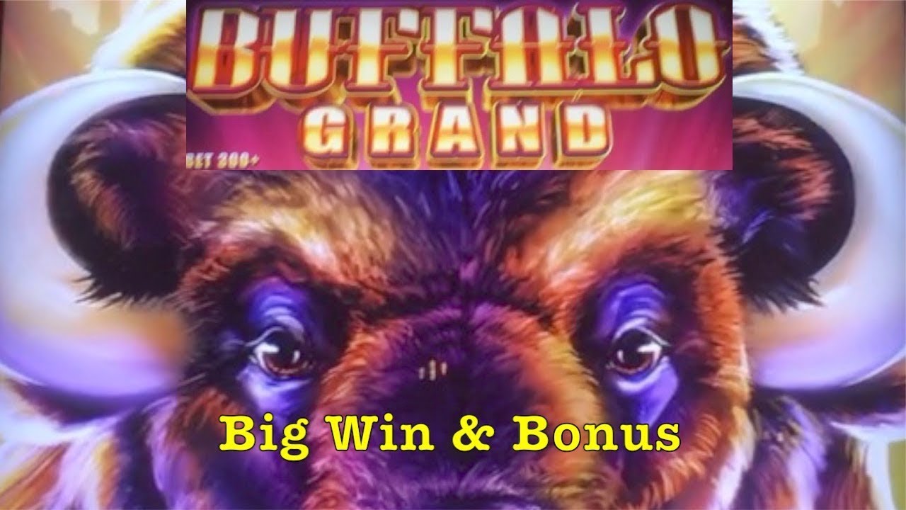 Holland Casino BUFFALO GRAND - Big Win & Bonus - Aristocrat Slot Machine Pokies Spielhalle