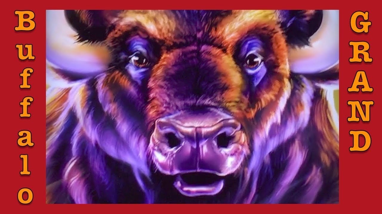Holland Casino BUFFALO GRAND - Bonus With Win - Aristocrat Slot Machine Pokie Pokies Novoline Merkur