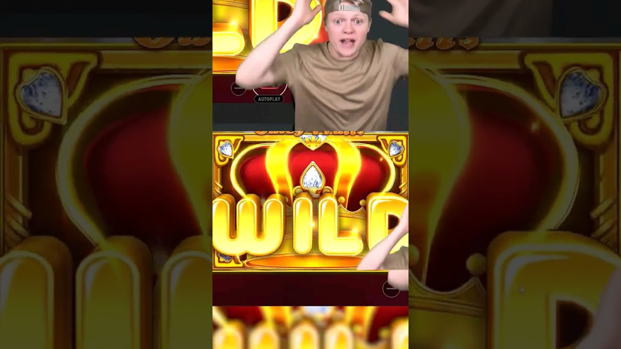 get max win full screen on casino online! #casinoonline #maxwin #bigwin #casino #wild #wildlife