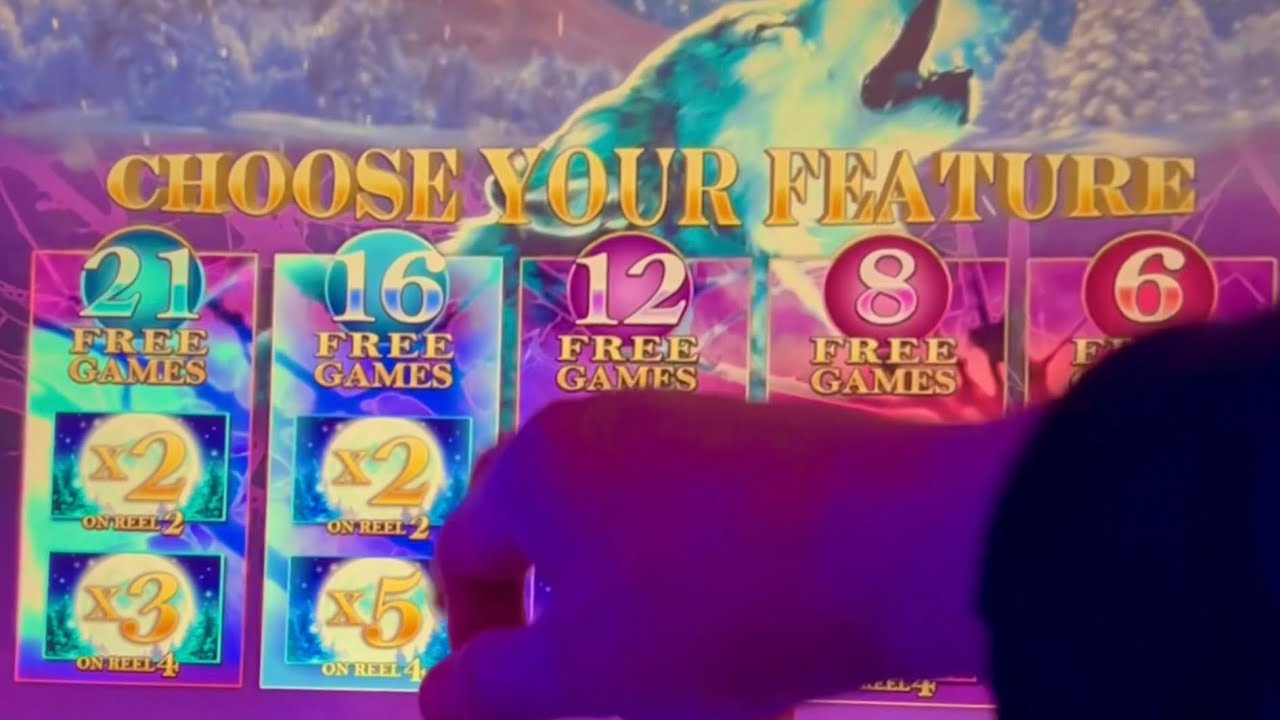 CRAZY OWLS JUST FLEW IN? #slotman #casino #slots #win #wow #fiveofakind #timberwolfdeluxe #chumash
