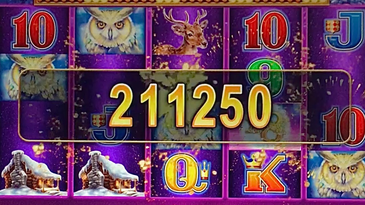 OMG MASSIVE WIN #slotman #wow #win #casino #slots #timberwolfdeluxe #tiktok