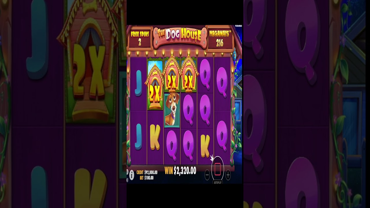 The Dog House Megaways Bonus Buy - Big Win Casino Slot #shorts