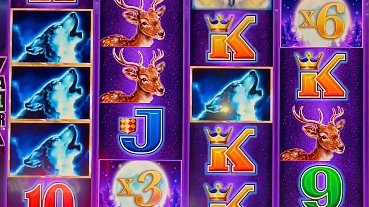 BIG WINS ON TIMBERWOLF DELUXE #wow #slotman #win #casino #slots #chumashcasino #timberwolfdeluxe
