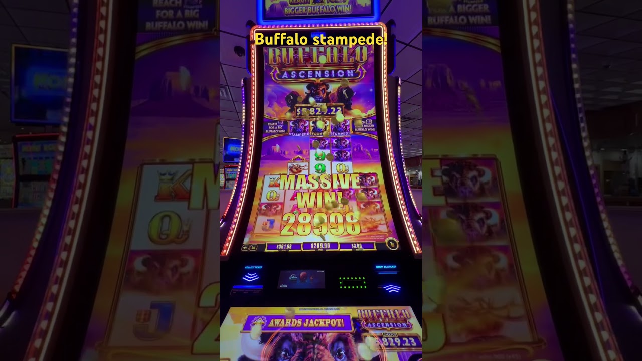 Enjoy this big win by The Slot Witch! Gotta love a good stampede! #slots #casino #tbtslots #casinos
