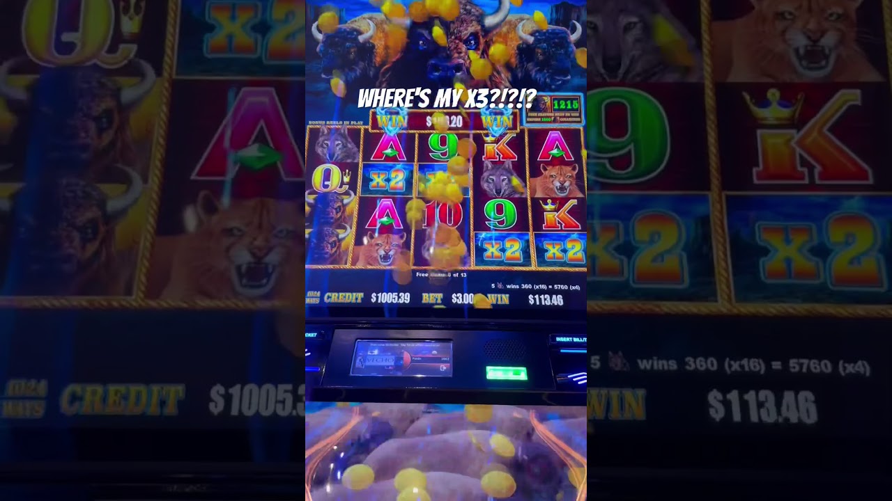 Massive Win on Buffalo Cash! All Wilds! #casino #jackpot #slots