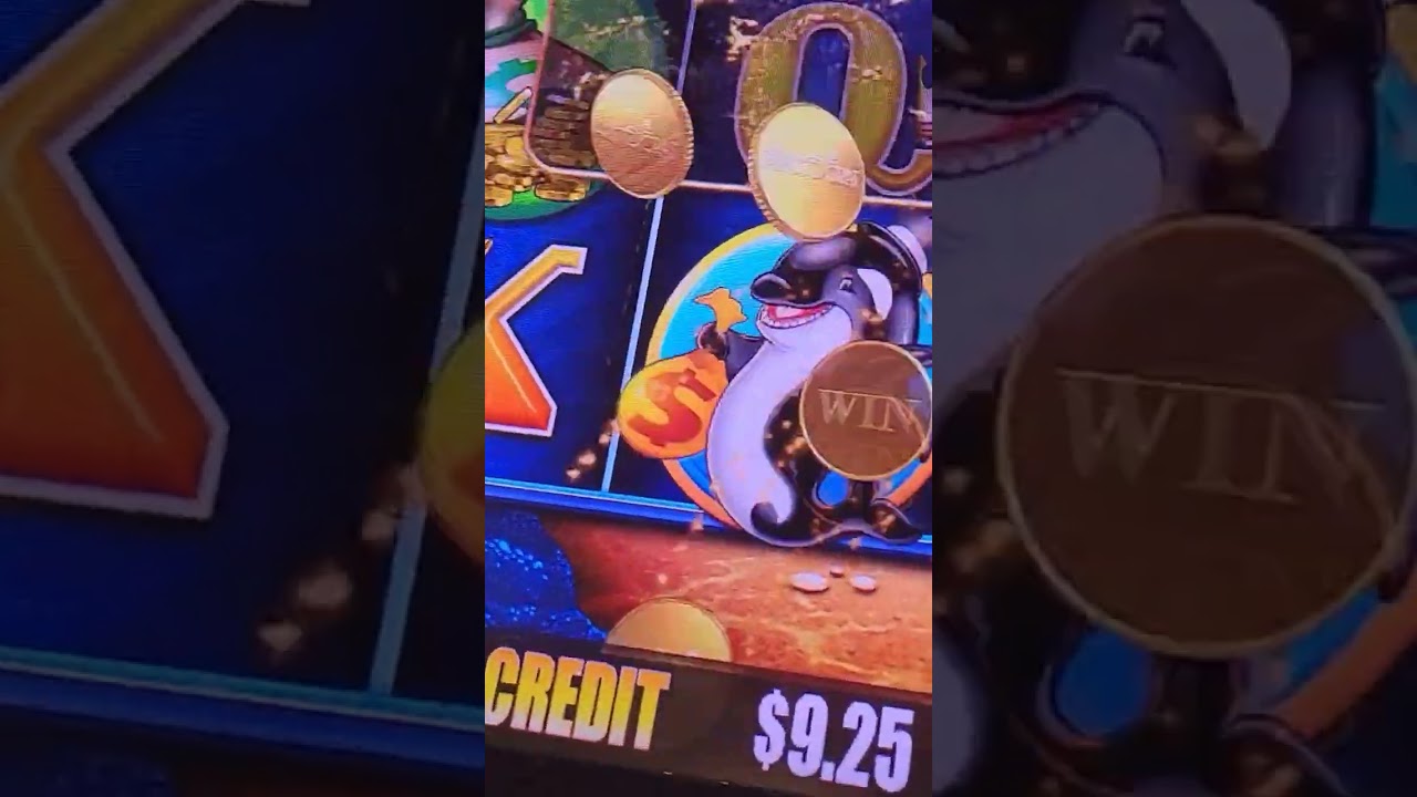 big win #casino #casinolife #casinogame #jackpot #casinofun  sigueme