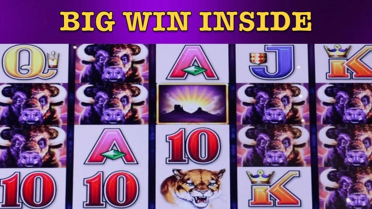 Holland Casino - Massive BUFFALO Slot Machine Wins & Other Aristocrat pokies